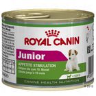 Royal Canin Mini Junior