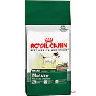 Royal Canin Mini Mature 27