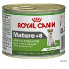 Royal Canin Mini Mature + 8