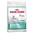 Royal Canin Mini Starter Mother & Babydog