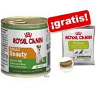 Royal Canin Mini / Starter 6 x 195 g + snack Educ ¡gratis!