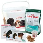 Royal Canin pakiet dla szczeniąt