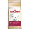Royal Canin Persian 30
