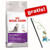Royal Canin Pienso 4 kg + ¡Caña para gatos pececitos gratis!