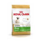 Royal Canin Pug Junior