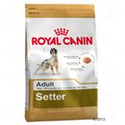Royal Canin Setter Adult