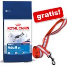 Royal Canin Size 8-15 kg + ¡collar reflectante gratis!
