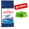 Royal Canin Size 8-15 kg + ¡comedero Dog zooplus gratis!