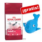 Royal Canin Size 3/4 kg + ¡Karlie Aqua Whale GRATIS!