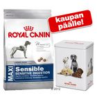 Royal Canin Size -pienpakkaus + säilytysrasia kaupan päälle