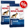 Royal Canin Size -säästöpakkaus