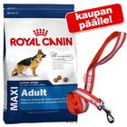 Royal Canin Size -suurpakkaus + talutushihna kaupan päälle!