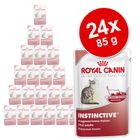 Royal Canin úsporné balení 24 x 85 g