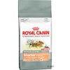 Royal Canin Starter Puppy