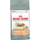Royal Canin Starter puppy