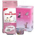 Royal Canin Starter-Paket Kitten