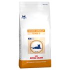 Royal Canin Vet Care Nutrition – Senior Consult Stage 2