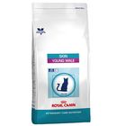 Royal Canin Vet Care Nutrition - Skin Young Male