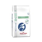 Royal Canin Veterinary Diet Dog Dental