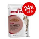 Royal Canin Voordeelpakket 24 x 85 g