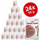 Royal Canin Wet Cat Food Saver Pack 24 x 85g