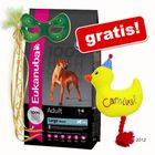 Sacco grande Eukanuba + Anatroccolo Carnival gratis!