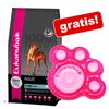 Sacco grande Eukanuba + Materassino mare gratis!