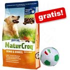 Sacco grande Happy Dog Natur + Palla in peluche gratis!