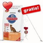 Sacco grande Hill's Feline + Lenza gioco gratis!