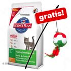 Sacco grande Hill's Feline + Lenza gioco Italia gratis!