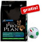 Sacco grande Pro Plan + Palla Italia in peluche gratis!