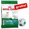 Sacco grande Royal Canin Size + Palla gioco Italia gratis!