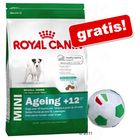 Sacco grande Royal Canin Size + Palla gioco Italia gratis!