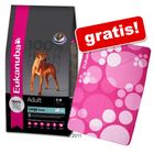 Sacco piccolo Eukanuba + Coperta in pile gratis!
