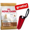 Sacco piccolo Royal Canin Breed + Dummy gratis!