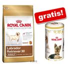 Sacco piccolo Royal Canin Breed + Portacrocchette gratis!
