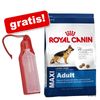 Sacco piccolo Royal Canin Size + Bottiglia viaggio gratis!