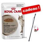 Sachets fraîcheur Royal Canin 18 x 85 g + canne à pêche !