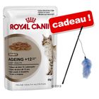 Sachets fraîcheur Royal Canin 48 x 85 g + canne à pêche Boa