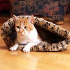 Saco para gatos Jungla
