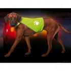 Safety-Dog gilet di sicurezza per cani