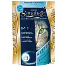 Sanabelle Kitten pour chaton