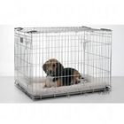 Savic Dog Residence