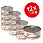 Schesir Fruit Sparpaket 12 x 150 g