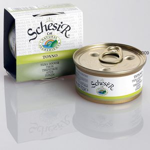 Schesir