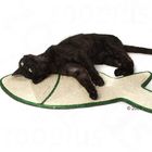 Scratching Pad Fish
