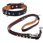 Set collare e guinzaglio - Heim Stars