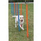Set de slalom Agility