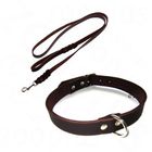 Set guinzaglio + collare gratis! Heim Treccia Brown