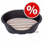 Set Lindo Gray: cesta + cuscino